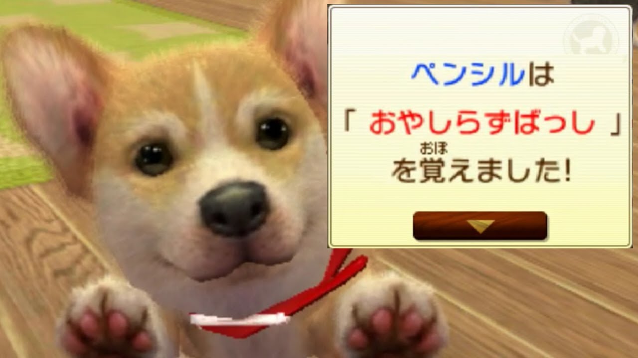 親知らずを抜いた直後に撮ったニンテンドッグス