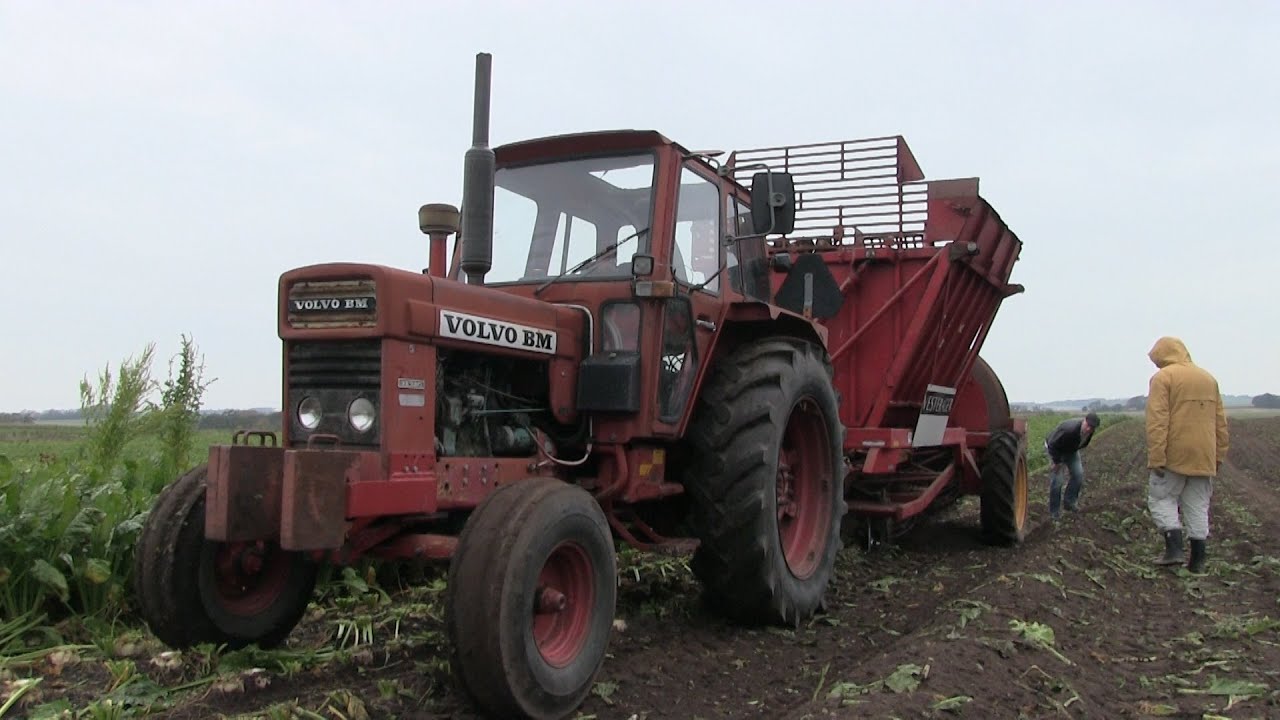 Volvo BM700 Turbo Harvesting Sugarbeets with Tim M2 Harvester