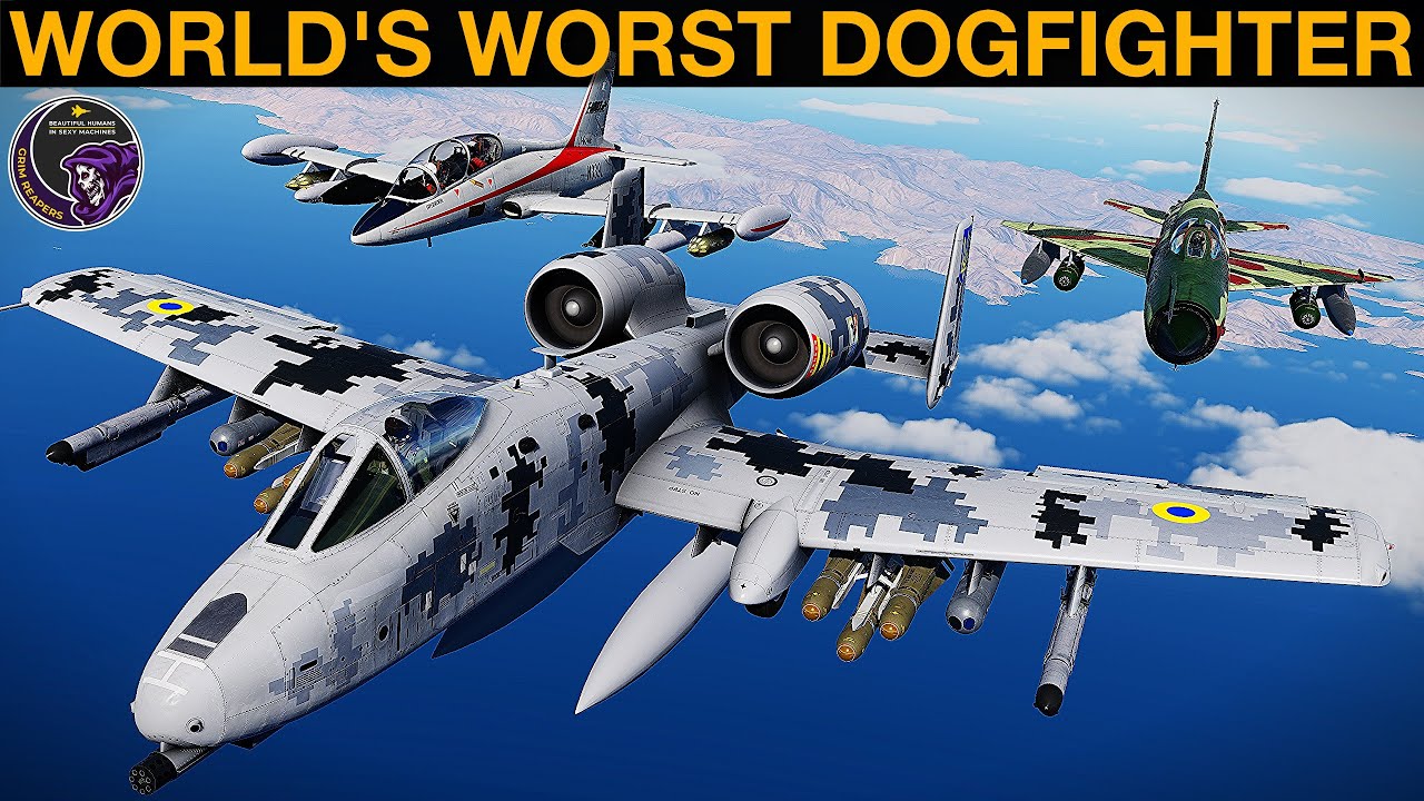 Худшие собачьи бои в мире | DCS