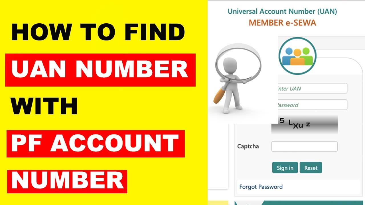 How to Find UAN Number with PF Account Number Online