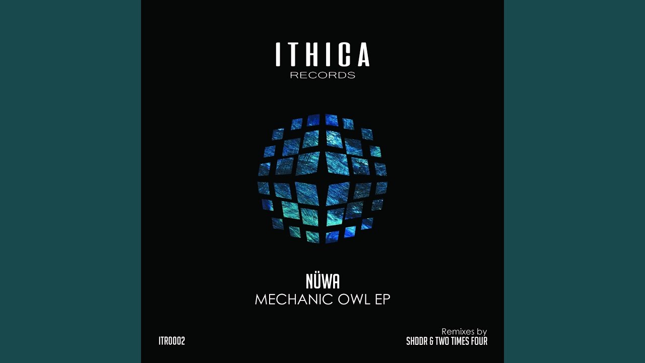 Mechanic Owl (SHDDR Remix)