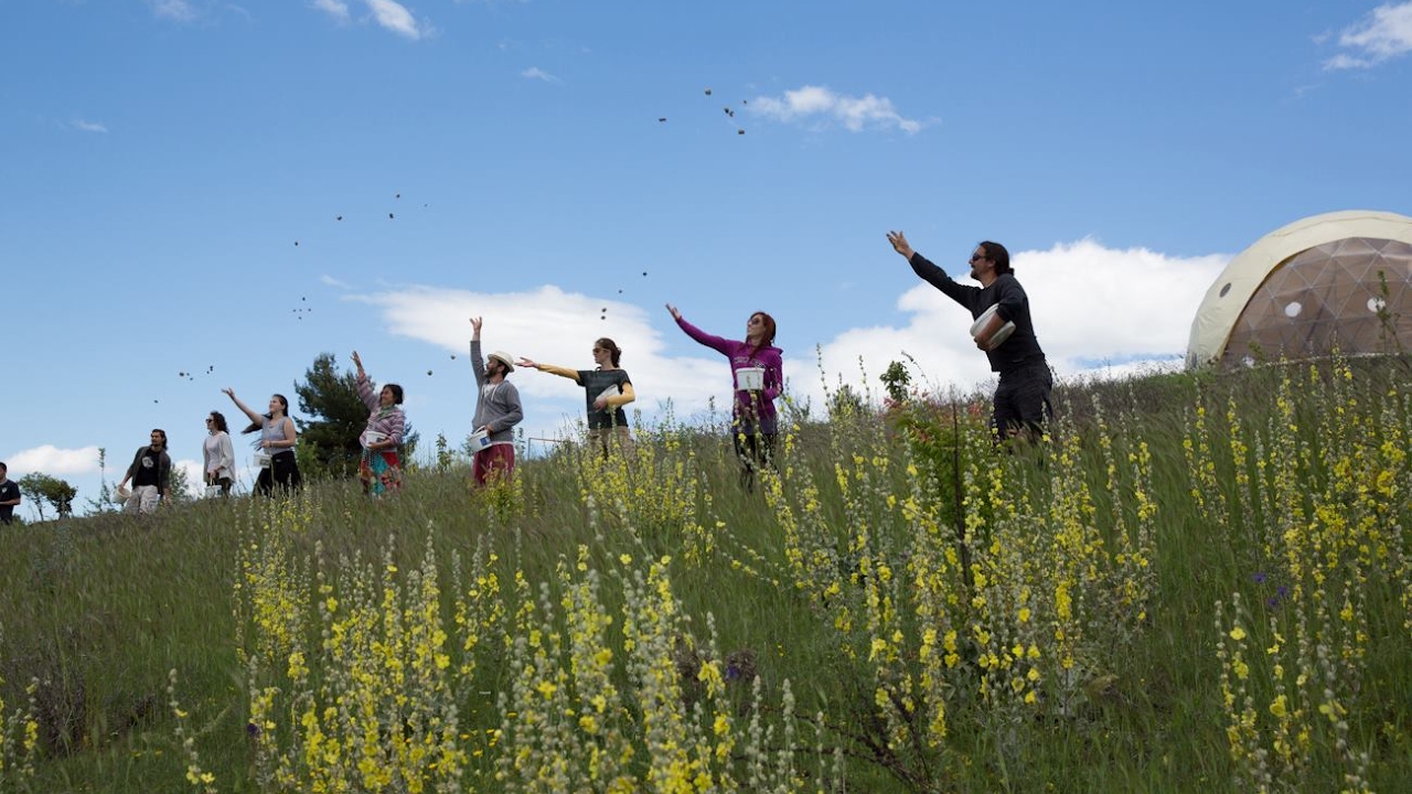 A Way of Life: Free and Real (Full Documentary)