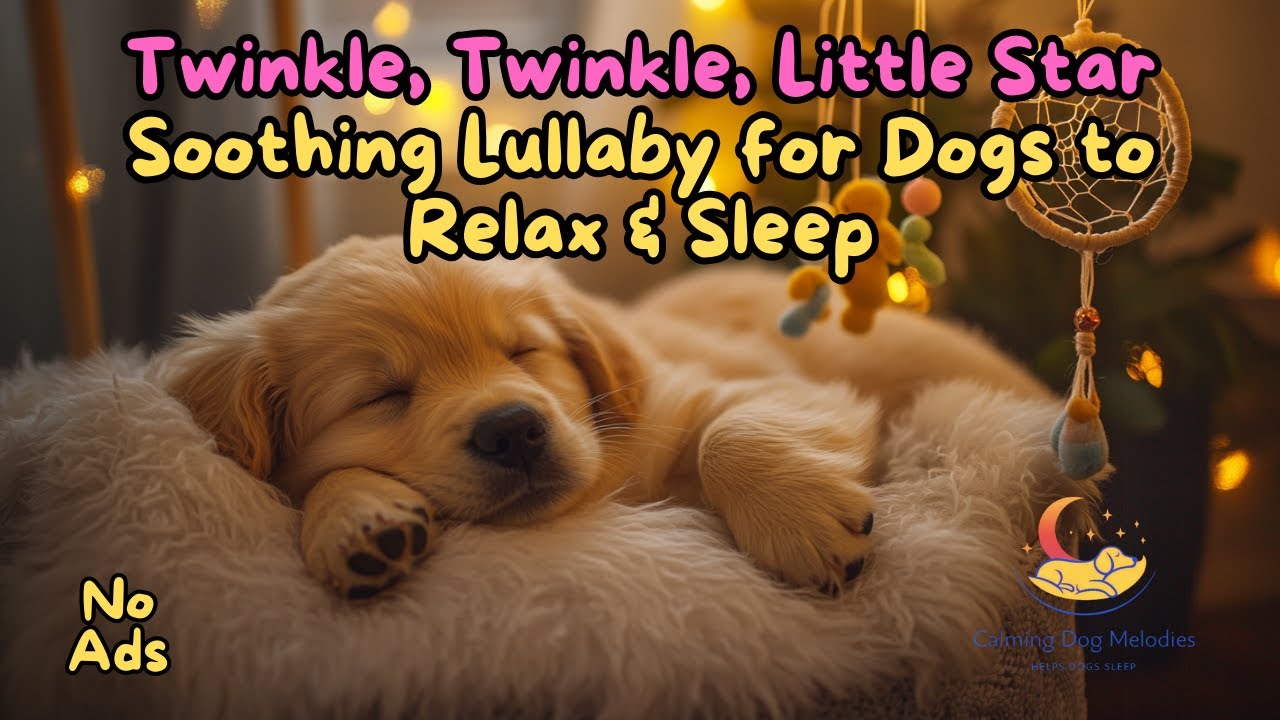 Twinkle, Twinkle, Little Star &ndash; Soothing Lullaby for Dogs to Relax & Sleep