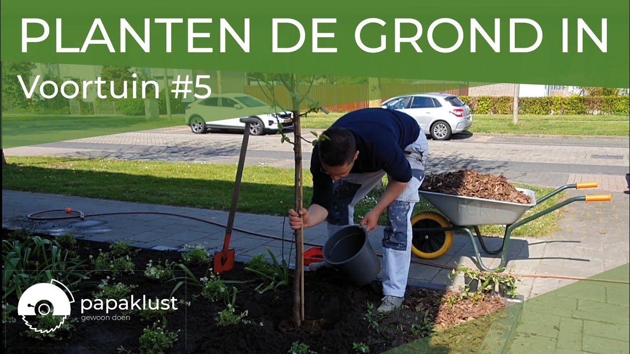 De planten gaan de grond in Voortuin #5