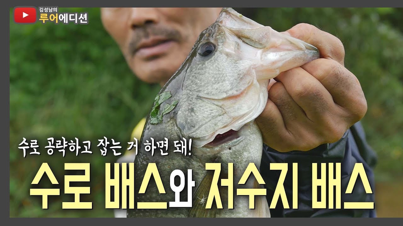 [Bass Fishing 루어에디션#66] 수로에 배스가 있을만한 포인트와 공략하기! 이제 잡아보자 수로vs저수지 (LUNKER MEGABASS staff)