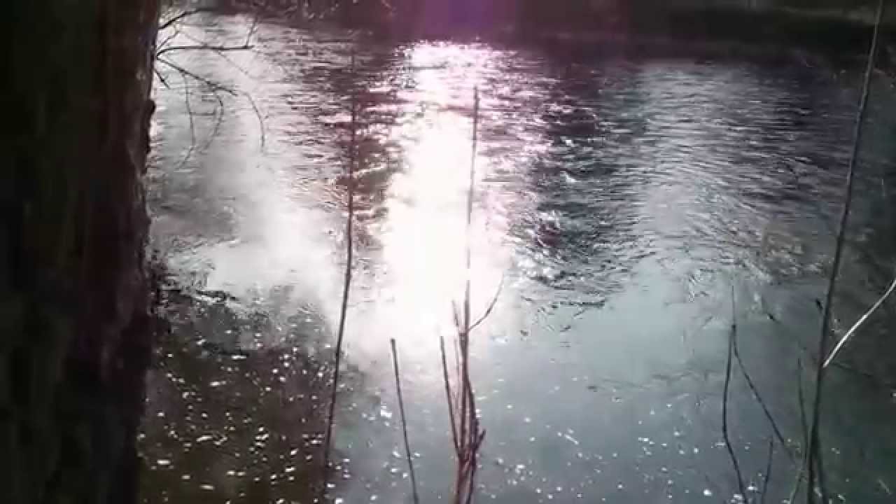 D&ouml;bel (Aitel)-Hotspot Test mit Semmel-Schwimm-/Sinkk&ouml;der