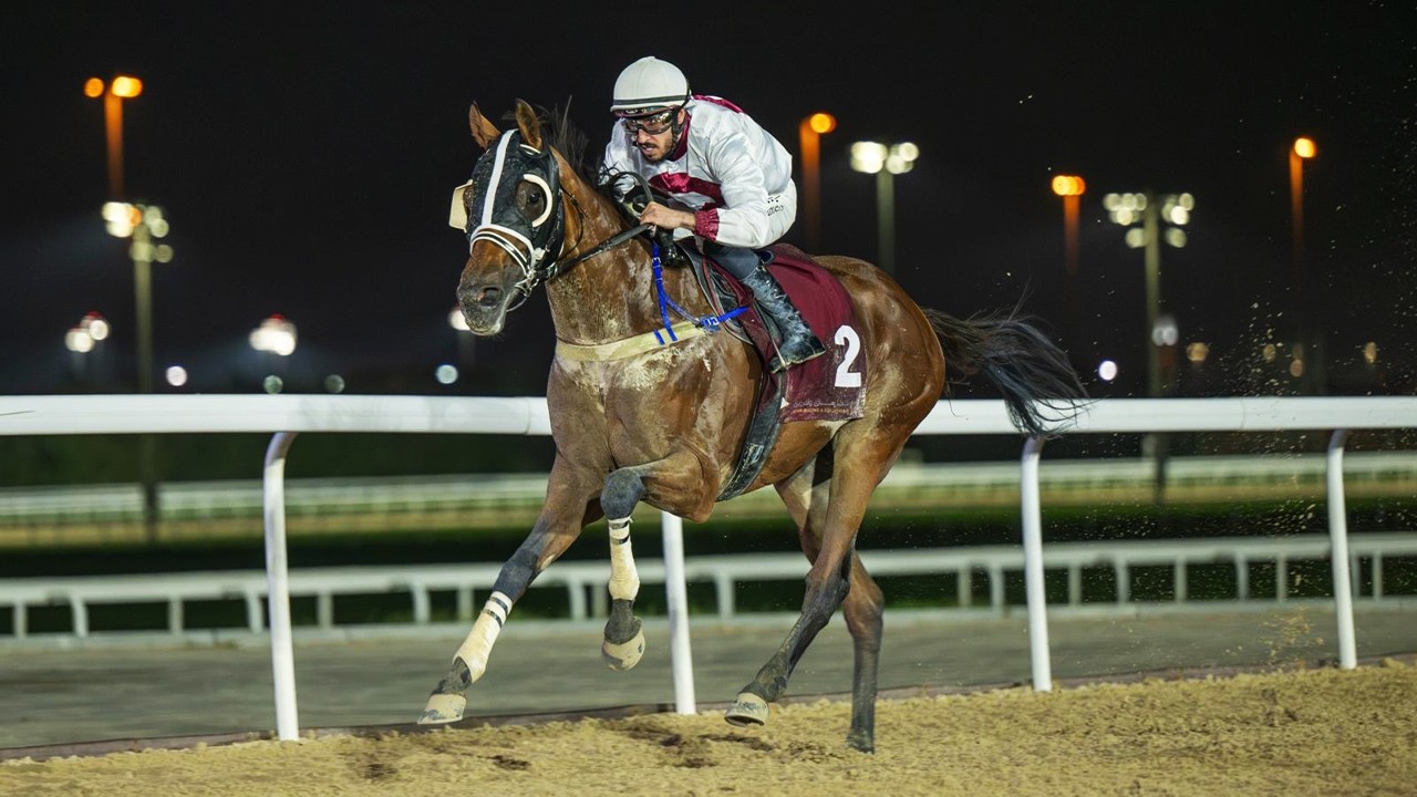 RM 52  Al Rayyan Race 4 -  Al Jumayliyah Cup