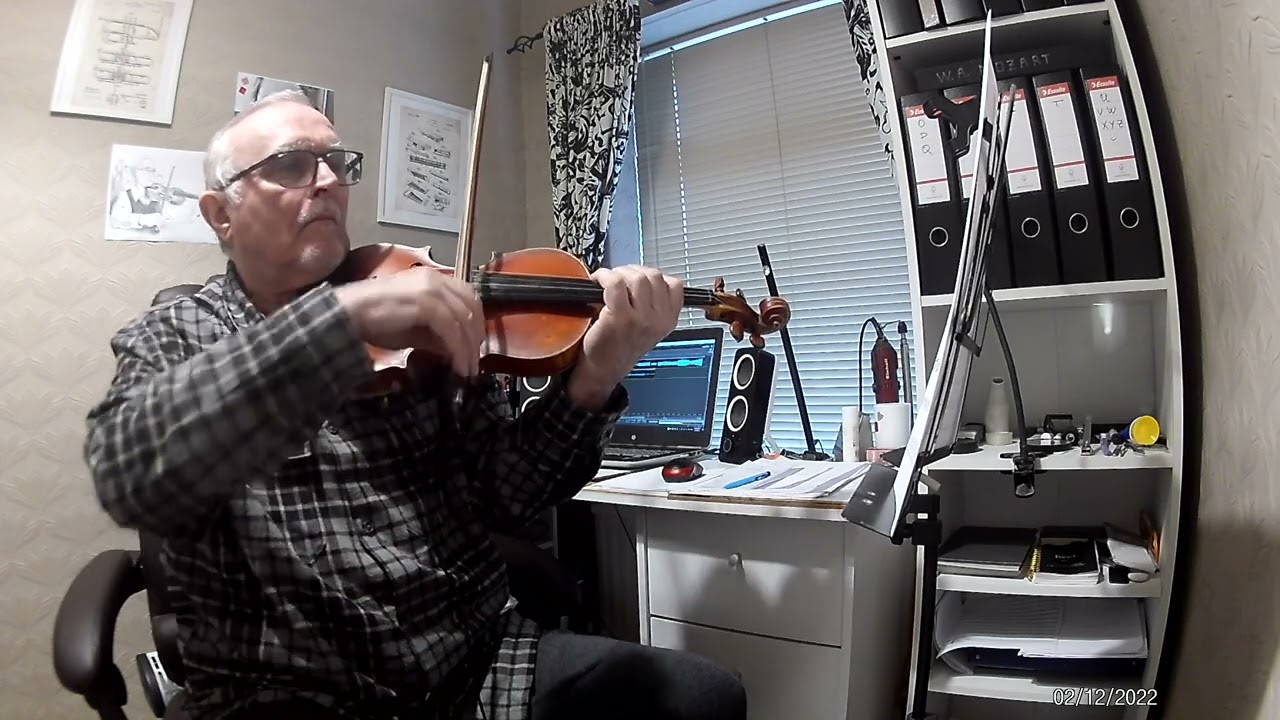 White Ball (Raw Strings)  Hawaii: Part II: Part ii  By: Miracle Musical, Zoe Hawley, Zubin Sedghi