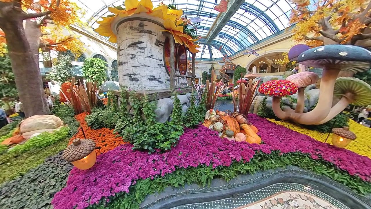 VEGAS IS OPEN | Virtual Tour of Bellagio Conservatory & Garden