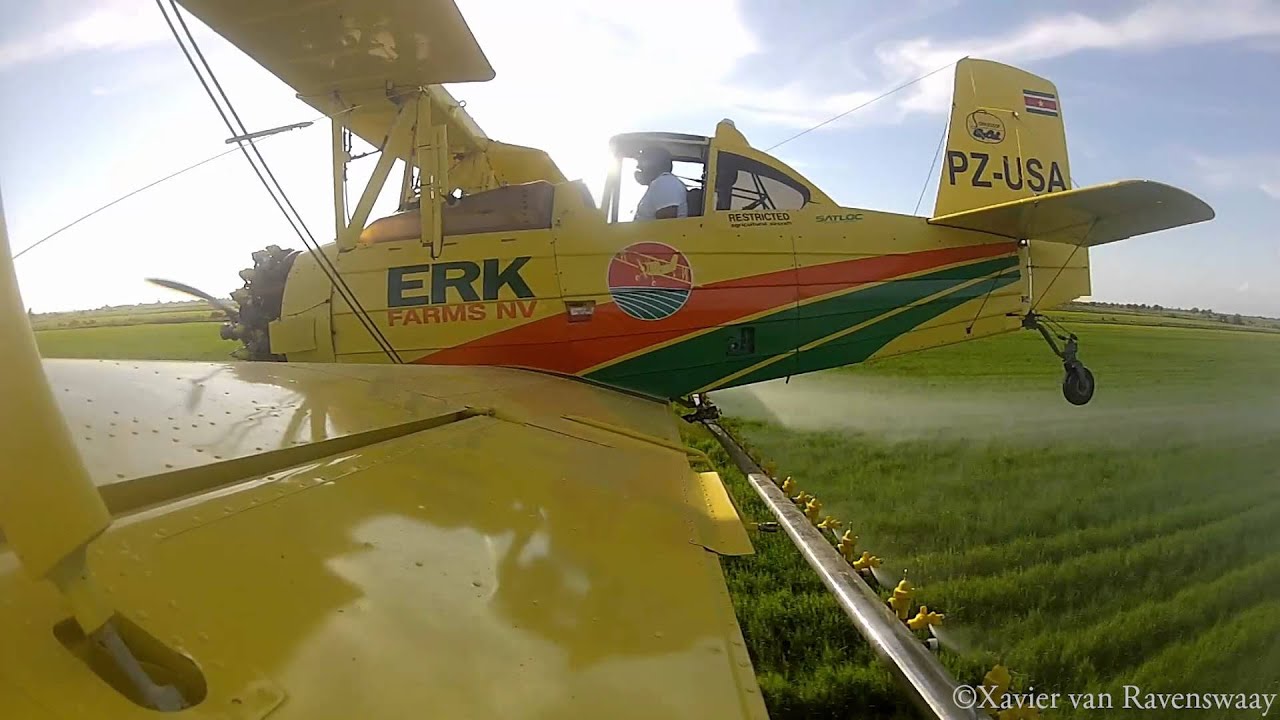[HD] Ag-Cat crop dusting in Nickerie, Suriname