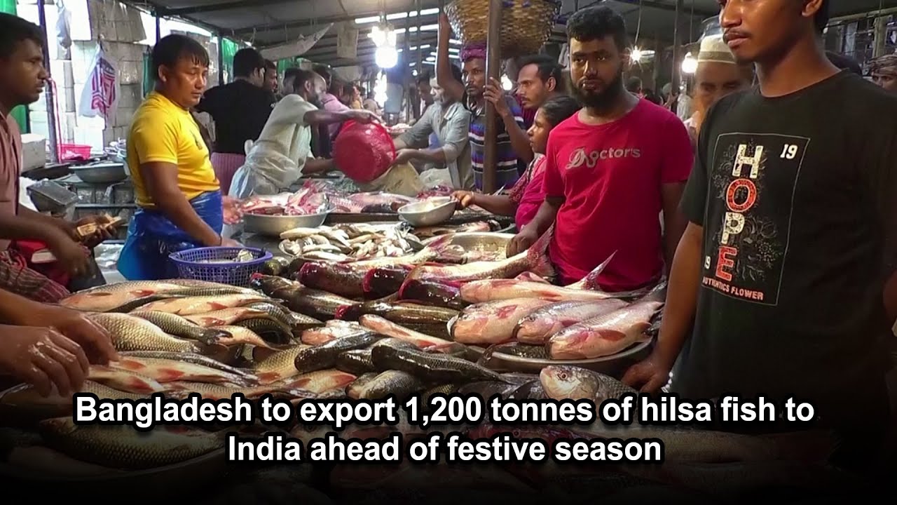 Bangladesh to export 1,200 tonnes of hilsa fish to India ahead of festive season