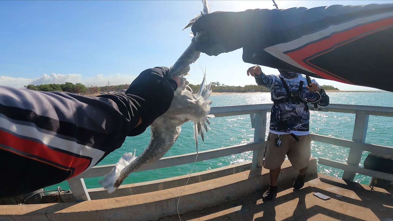 Mandorah Darwin NT | Fishing is Fun Finale | We Saved a Bird