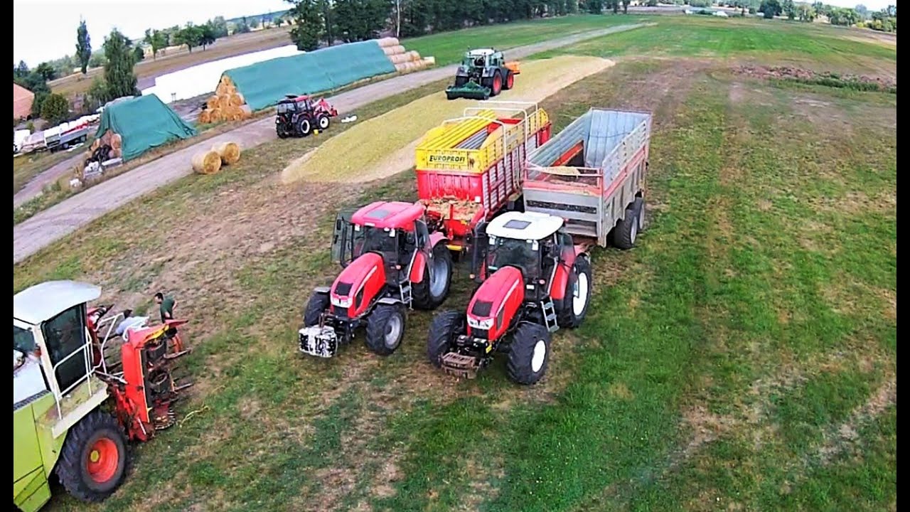 Kukurydza 2019 - GR WRÓBEL