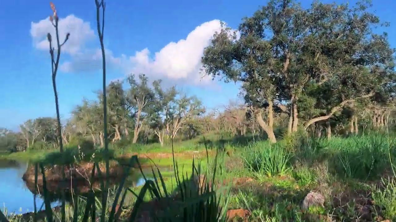 قهوة صباحية راحة relaxation 