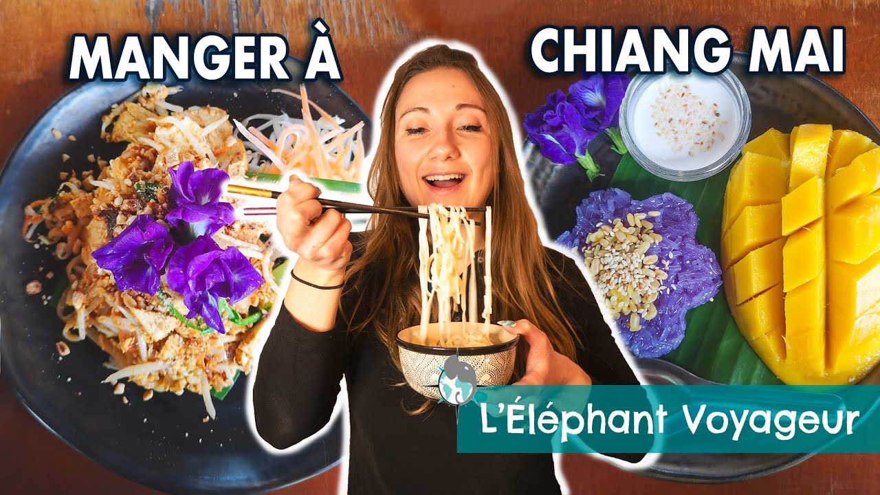 MANGER À CHIANG MAI (vlog Thaïlande): LES BONNES ADRESSES À TESTER EN VOYAGE EN THAÏLANDE !