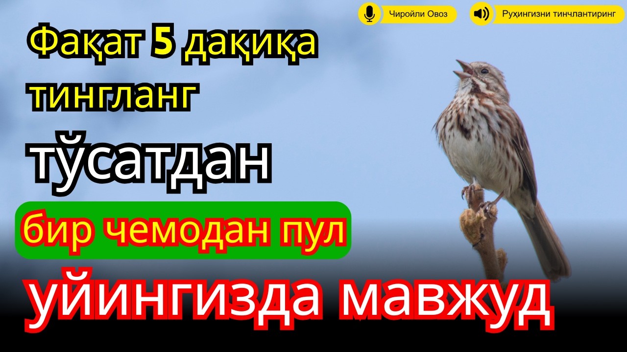 🔴Фақат 1 марта эшитинг , пул сизни ўзидан қидиради! Дунёдаги энг кучли ризқ дуоси!