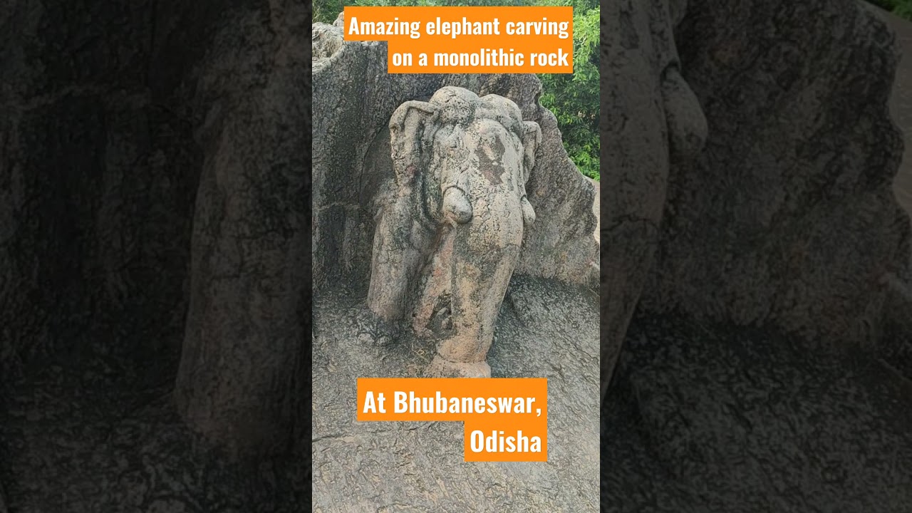 Amazing Elephant carving on a monlithic rock at Dhauligiri, Bhubaneswar, Odisha # Shorts