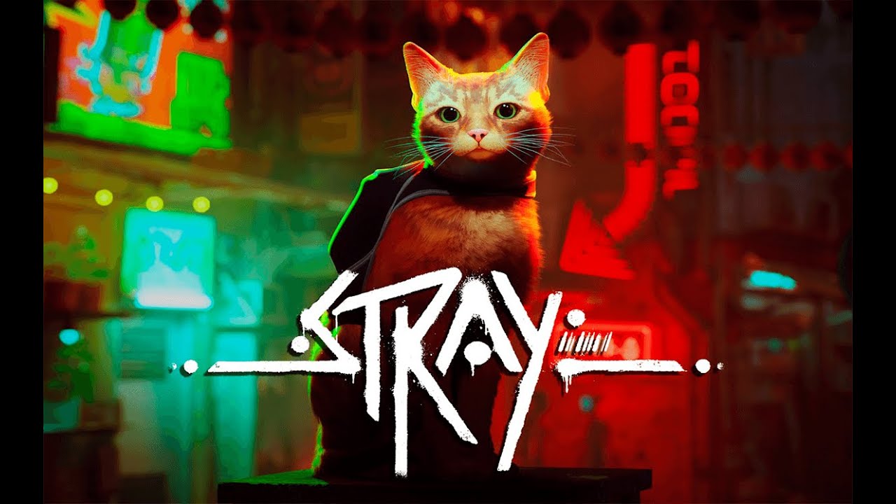 Stray (Nueva serie) Gameplay Español - Capitulo 1