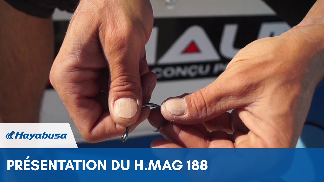 Hayabusa | Pr&eacute;sentation H. Mag 188