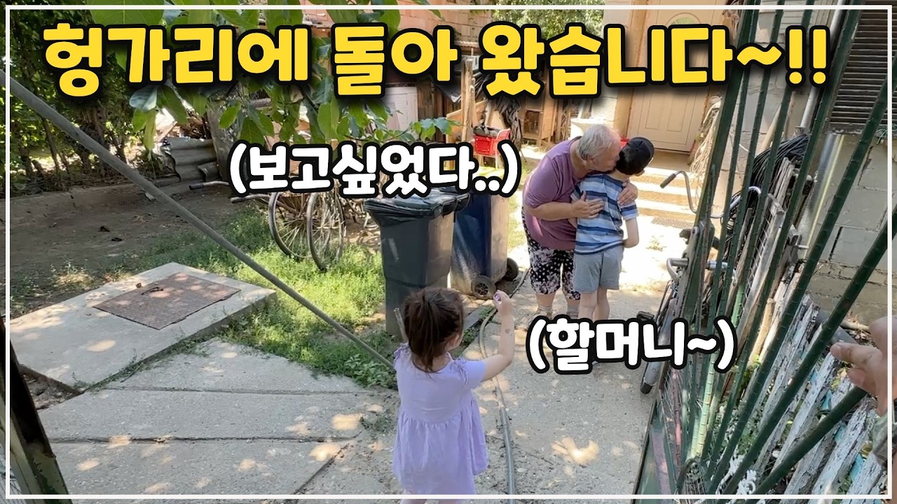🇭🇺헝가리일상ㅣ깻잎도 따고, 굴라쉬도 먹고ㅣ헝가리에 돌아왔습니다! /#가족먹방 #국제커플 #황금마차