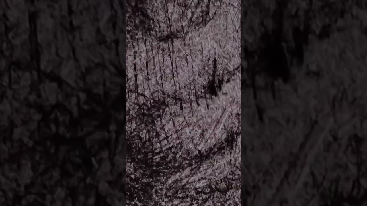 Embarrassing Intaglio Printmaking Blunder: Drypoint #shorts