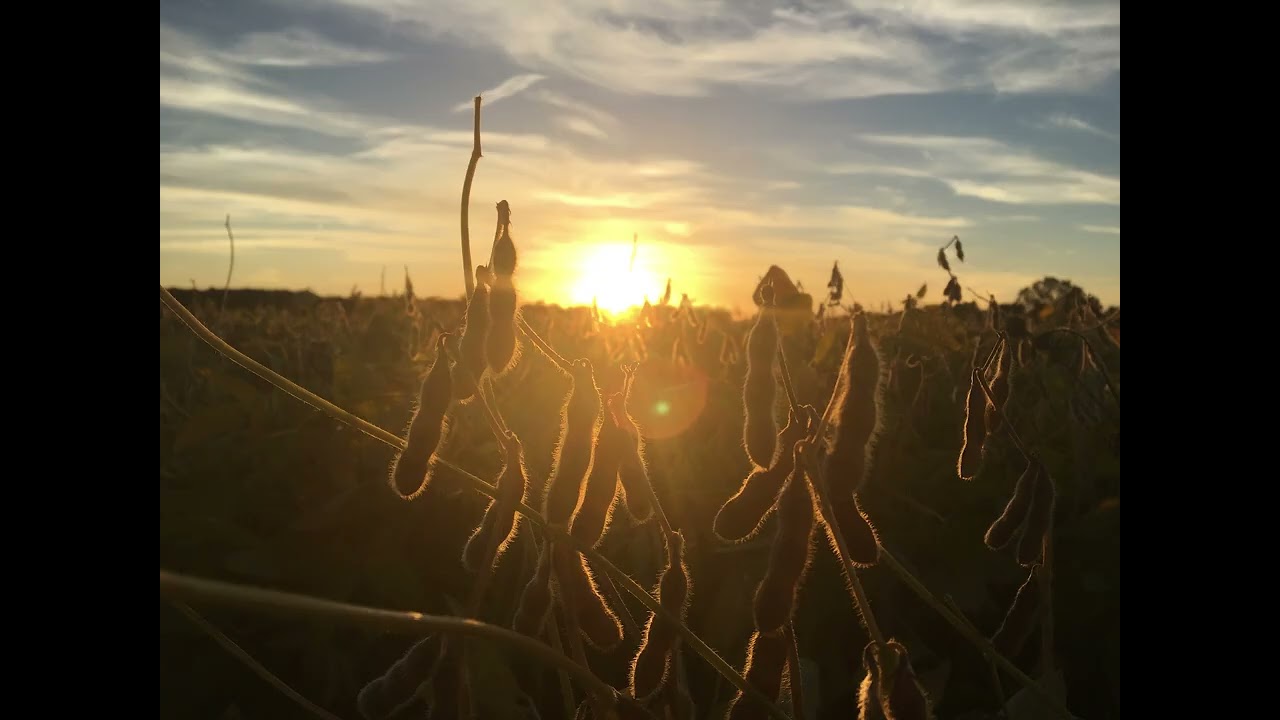 The Test Plot EP #2: The Fascinations of Corn, Soybeans and Wheat