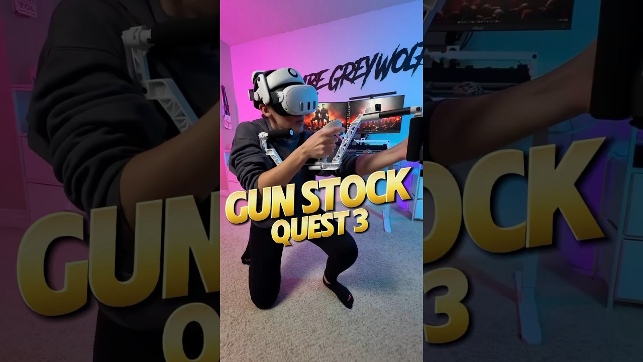 Best VR Gun Stock! 😱