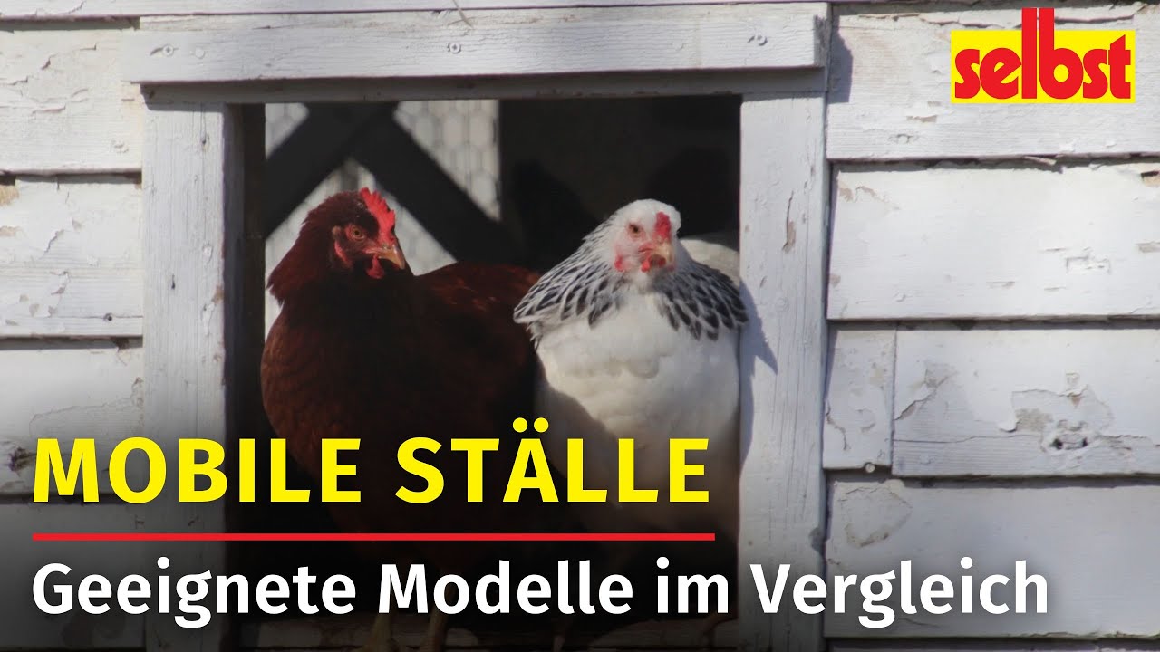 Mobiler H&uuml;hnerstall = Gl&uuml;ckliche H&uuml;hner!