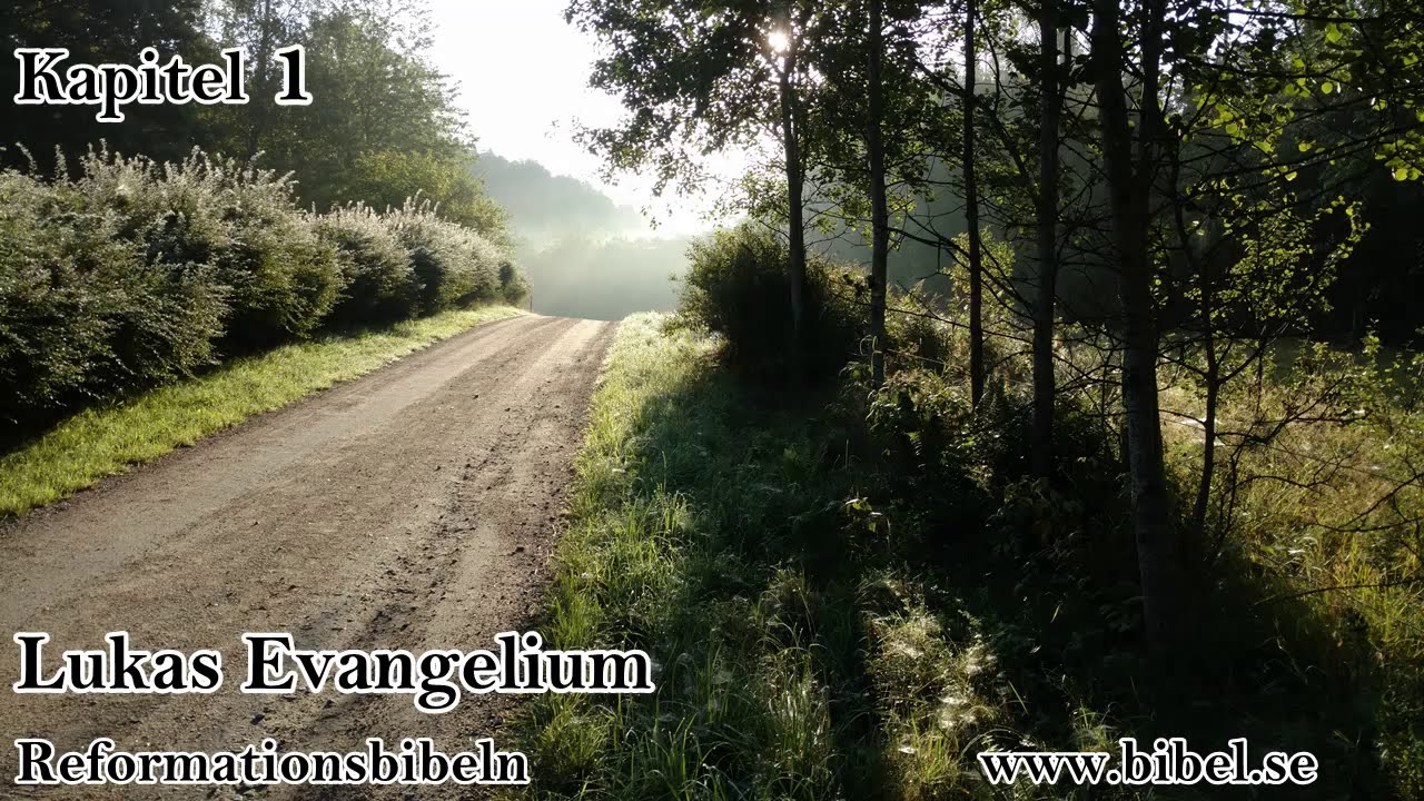 Lukas Evangelium | Reformationsbibeln | NT | Bibeln | Bibel | Ljudbok | ljudbibel
