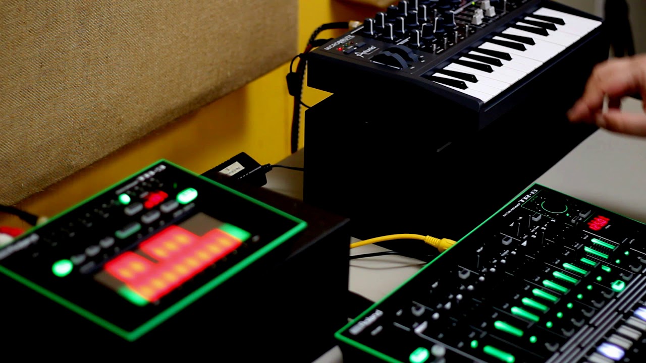 TR-8, TB-3 and MicroBrute jam