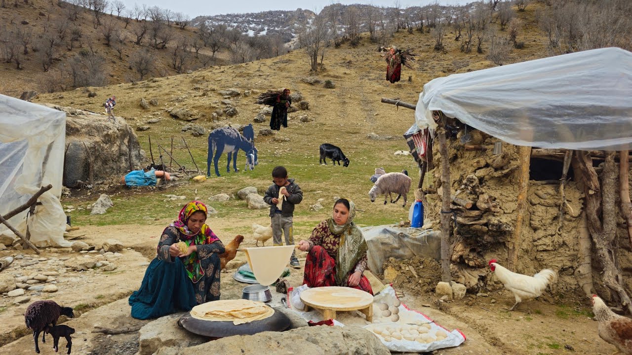 Nomadic life: gathering firewood from wild Zagros mountains single nomad girls baking local bread