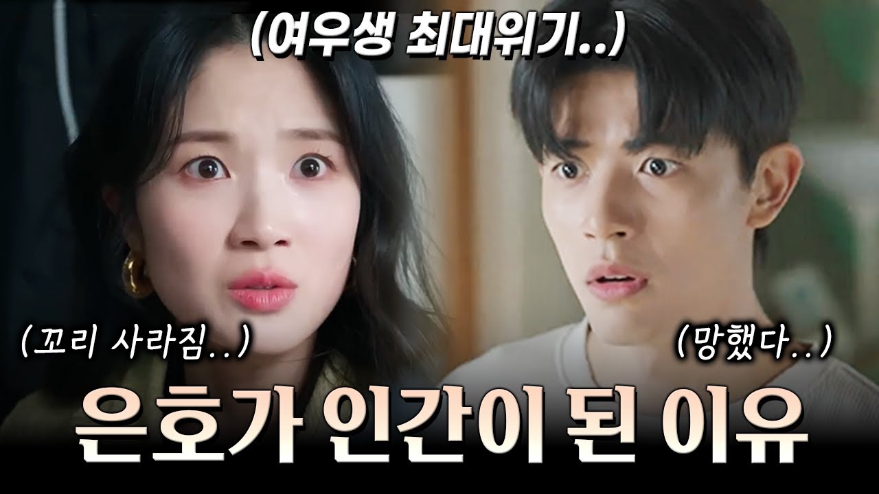 [오늘부터 인간입니다만 3-4회 예고] MZ구미호 김혜윤이 빡치면 벌어지는 일.. 인생 망한 줄 알았던 로몬의 반격? 구미호 사냥꾼 김태우 등장에 김혜윤 최대 위기!