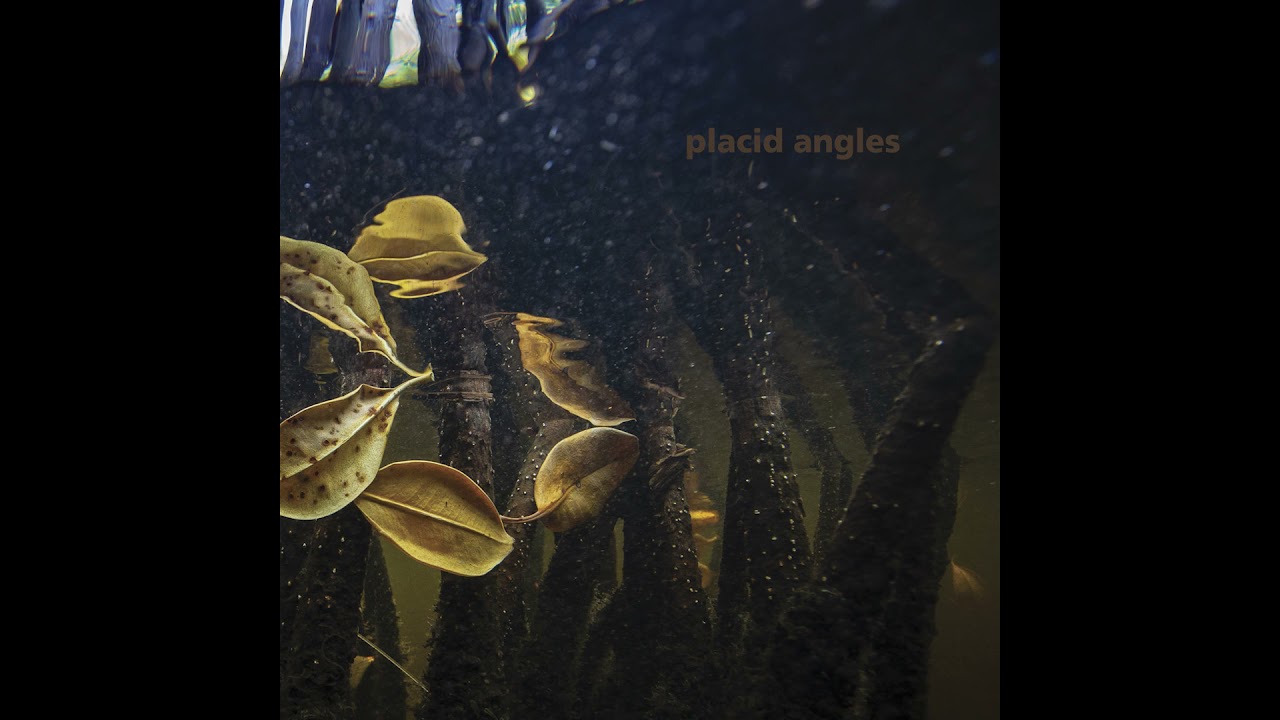 Placid Angles - Touch The Earth [FIGURELP07] (Full Album)