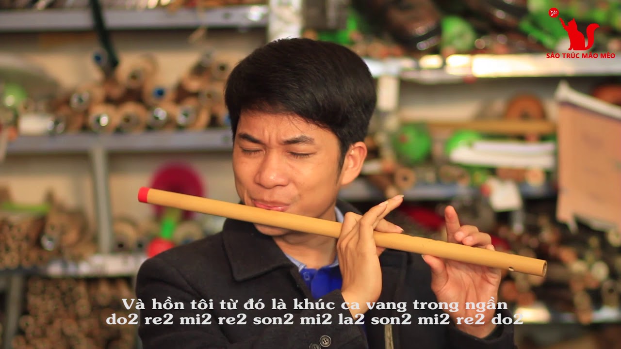 Từ Đó Cảm âm sáo trúc Mão Mèo Mắt Biếc OST