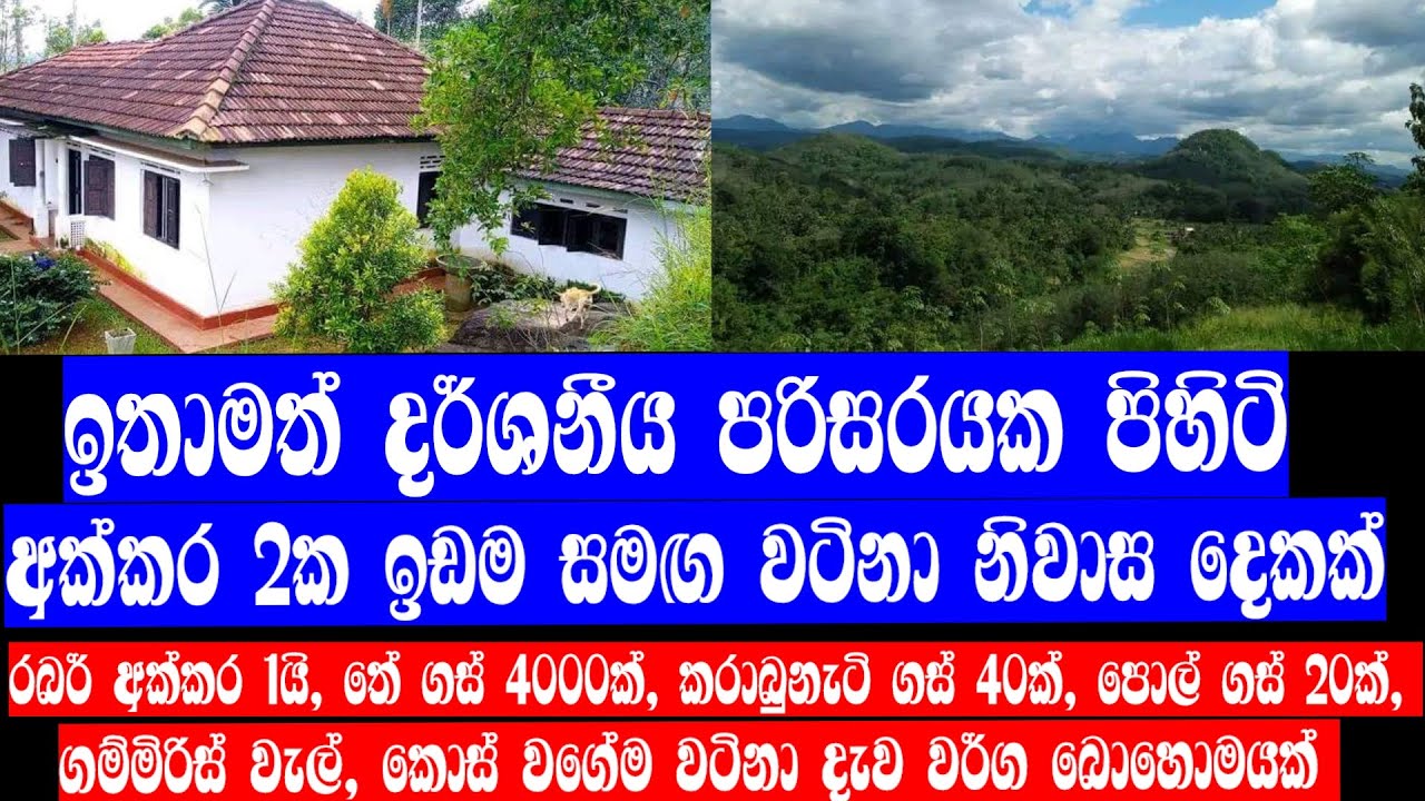 Two houses for sale with 2 acres of land in Kegalle District, Sri Lanka. | video 368