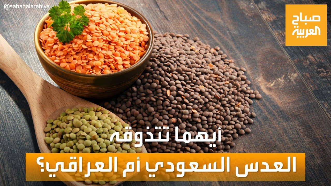 صباح العربية| العدس السعودي أم العراقي.. أيهما تفضل؟