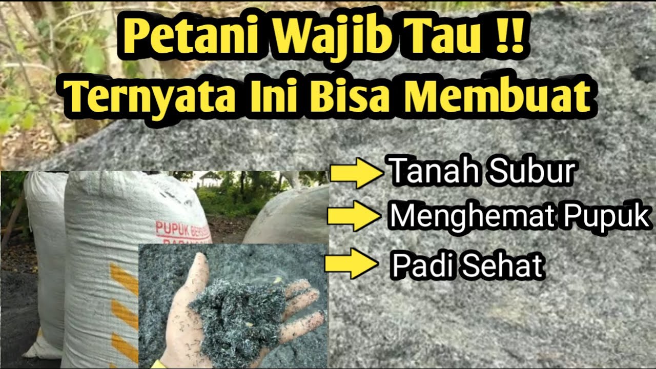 manfaat abu sekam padi untuk tanaman