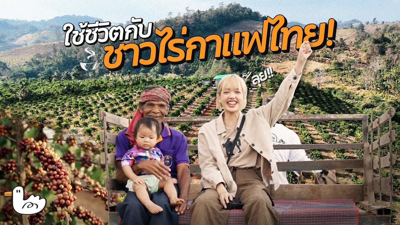 1 วันใช้ชีวิตกับชาวไร่กาแฟไทย ปลูกยังไงให้ได้เมล็ดดี 24 ตัน!! l จังหวัดตาก