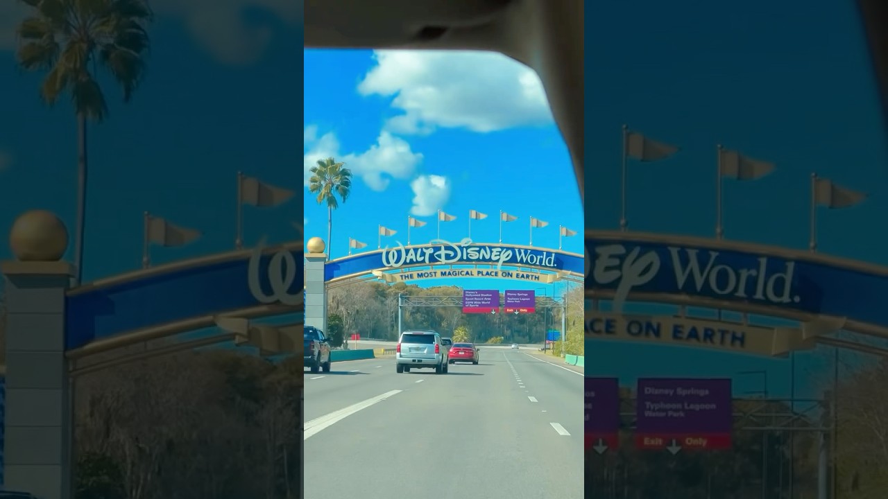 Может, у меня и нет денег, но зато есть билеты в Диснейленд 🎟️ 🏰😇 