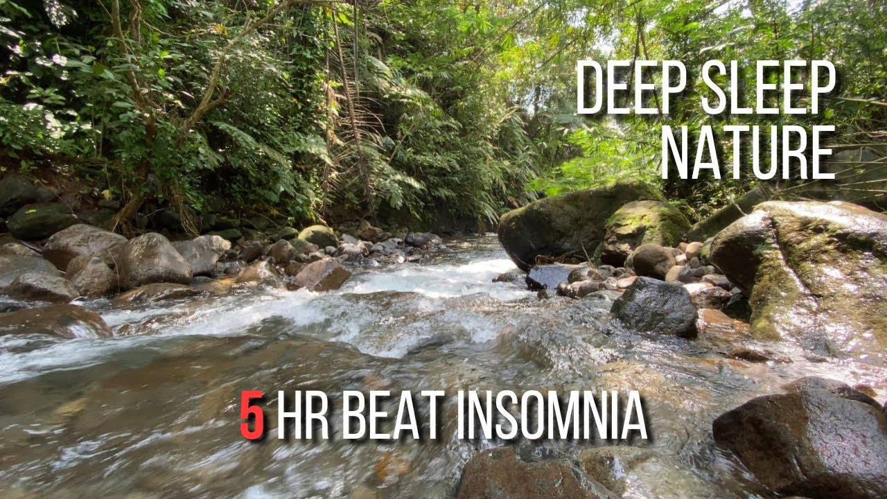 Deep Sleep Nature | Gentle River Flow, Tranquil Forest Soundscape for Sleeping and Relaxation