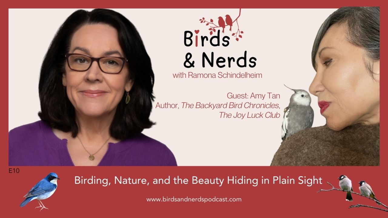 Birds & Nerds | Bestselling Author Amy Tan on Finding Hope and Beauty in Your Own Backyard