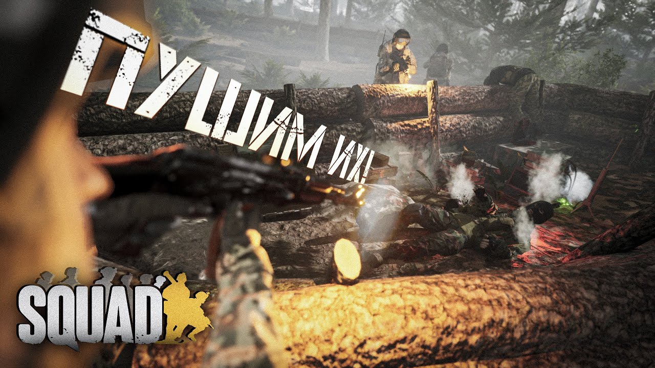 Ukrainian Air Force Attack Aircraft in Squad 10.0 - The Squad Has Gone Mad