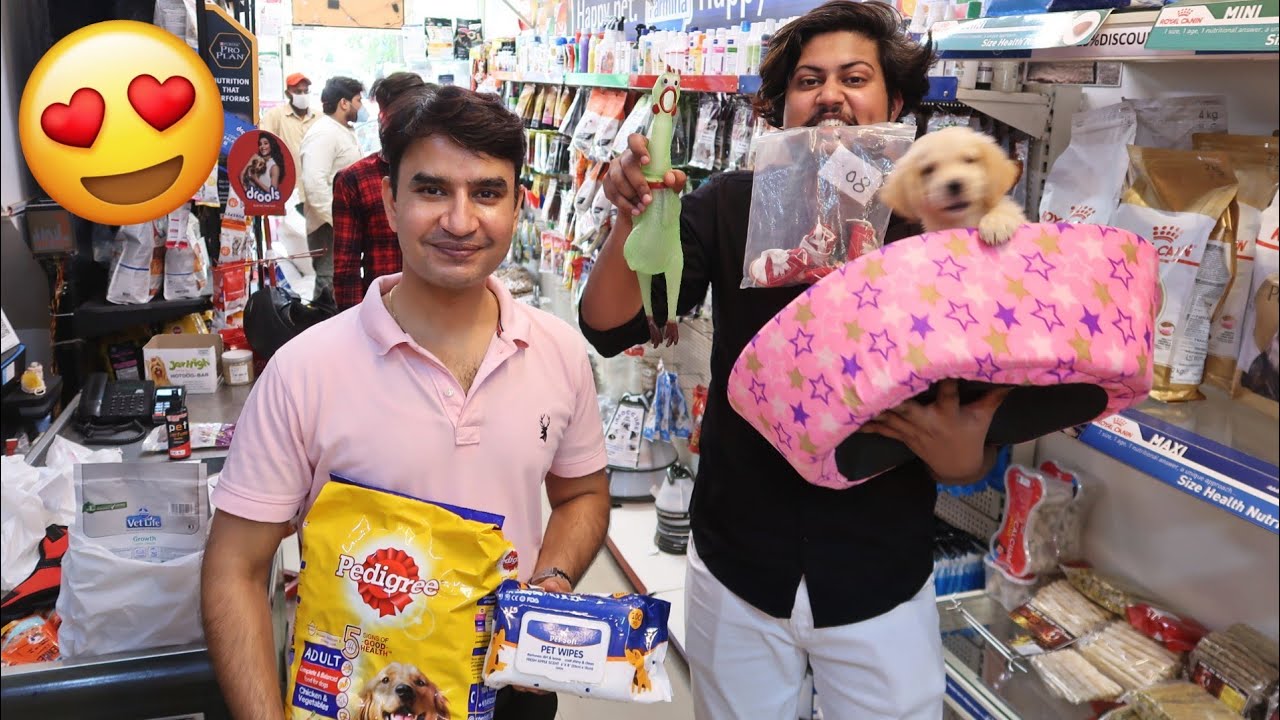 Most EXPENSIVE SHOPPING For My DOG😱😱-(Pedigree, Dog Shoes, Dog Bed)