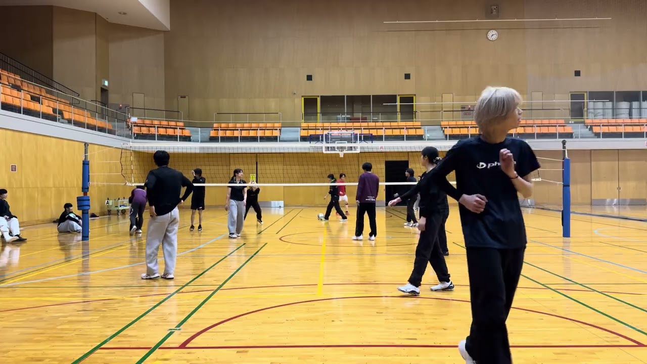 2026/2/8しらす②