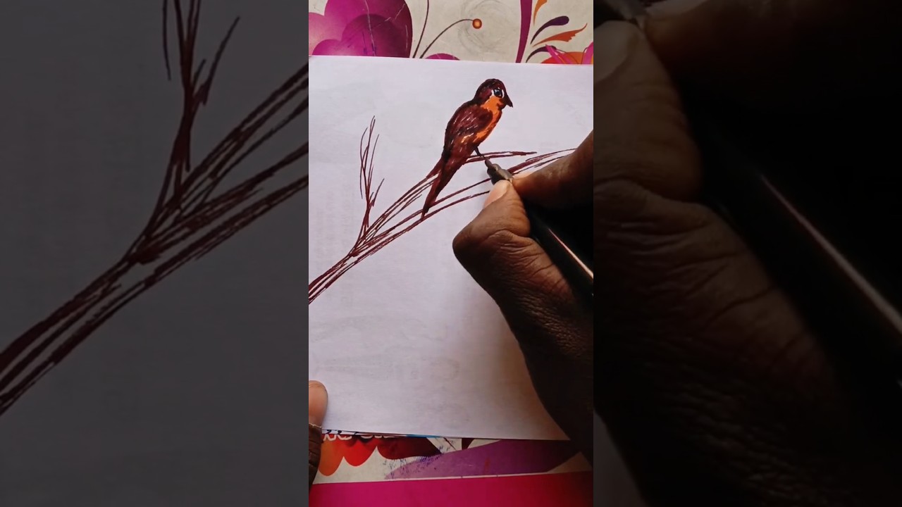 How to draw a bird!!
