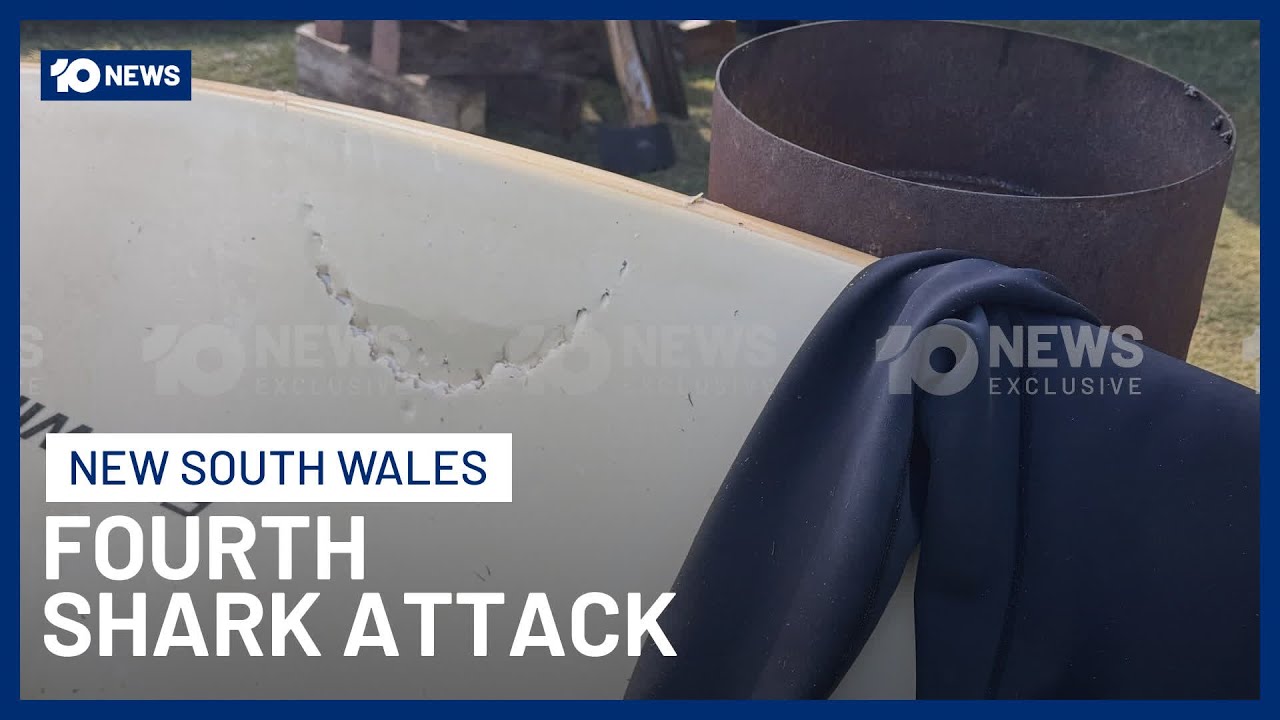 Surfer Hospitalised After Fourth Shark Attack In NSW In 48 Hours | 10 News