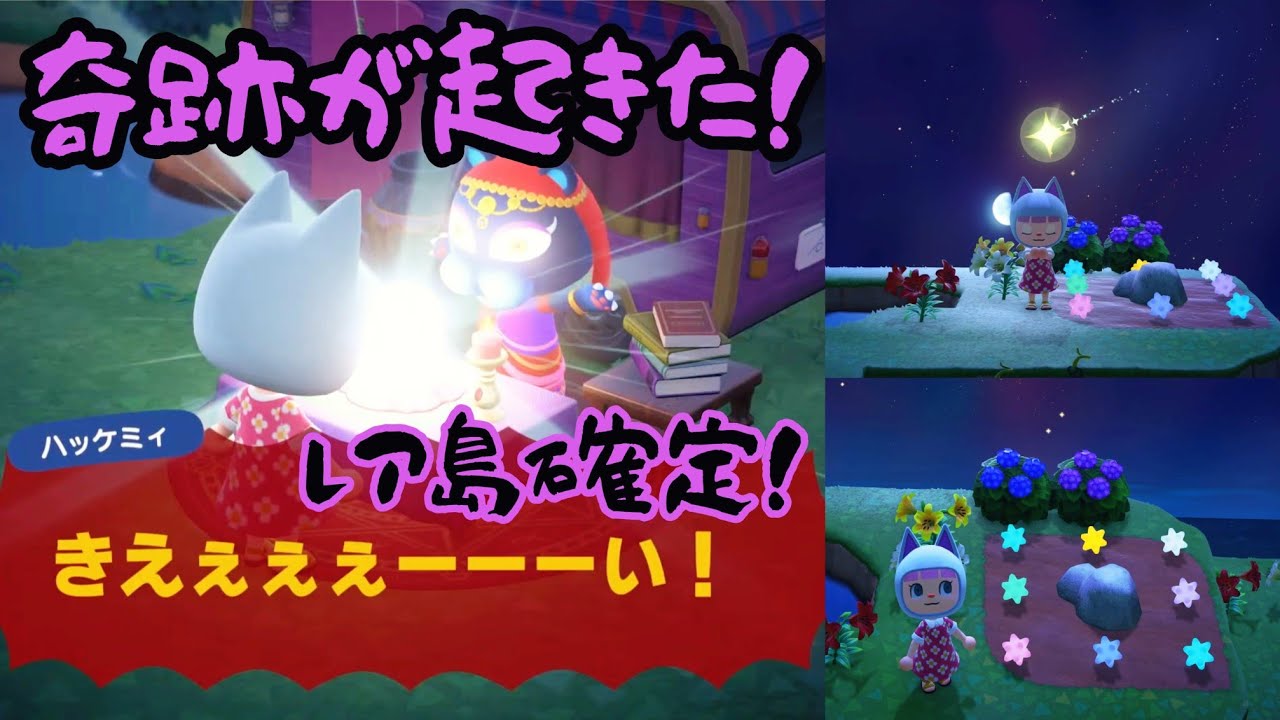 【あつ森】深夜のスローライフ作業配信！#あつ森 #あつまれどうぶつの森