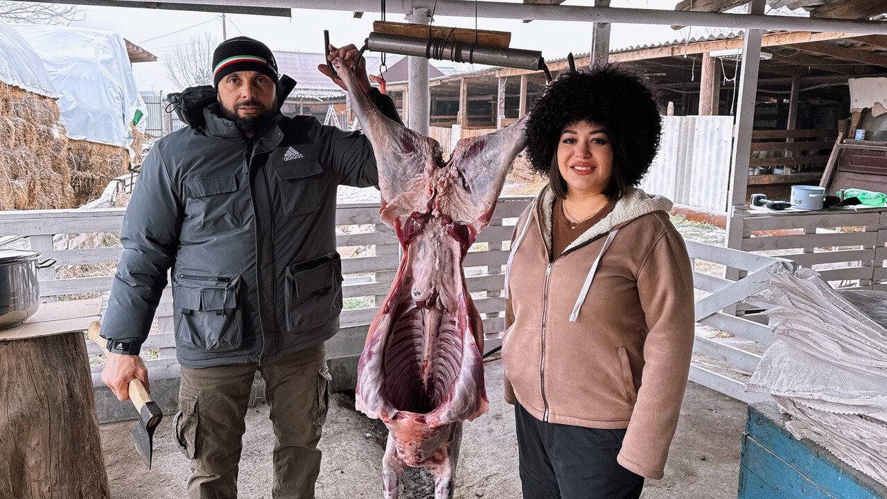 ЧЕЧНЯ без стереотипов: КАКИЕ они НА САМОМ ДЕЛЕ? Один день в селе: мясо, галушки и роды у овцы!