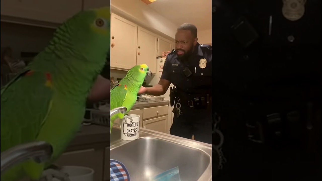 Ты моешь посуду 