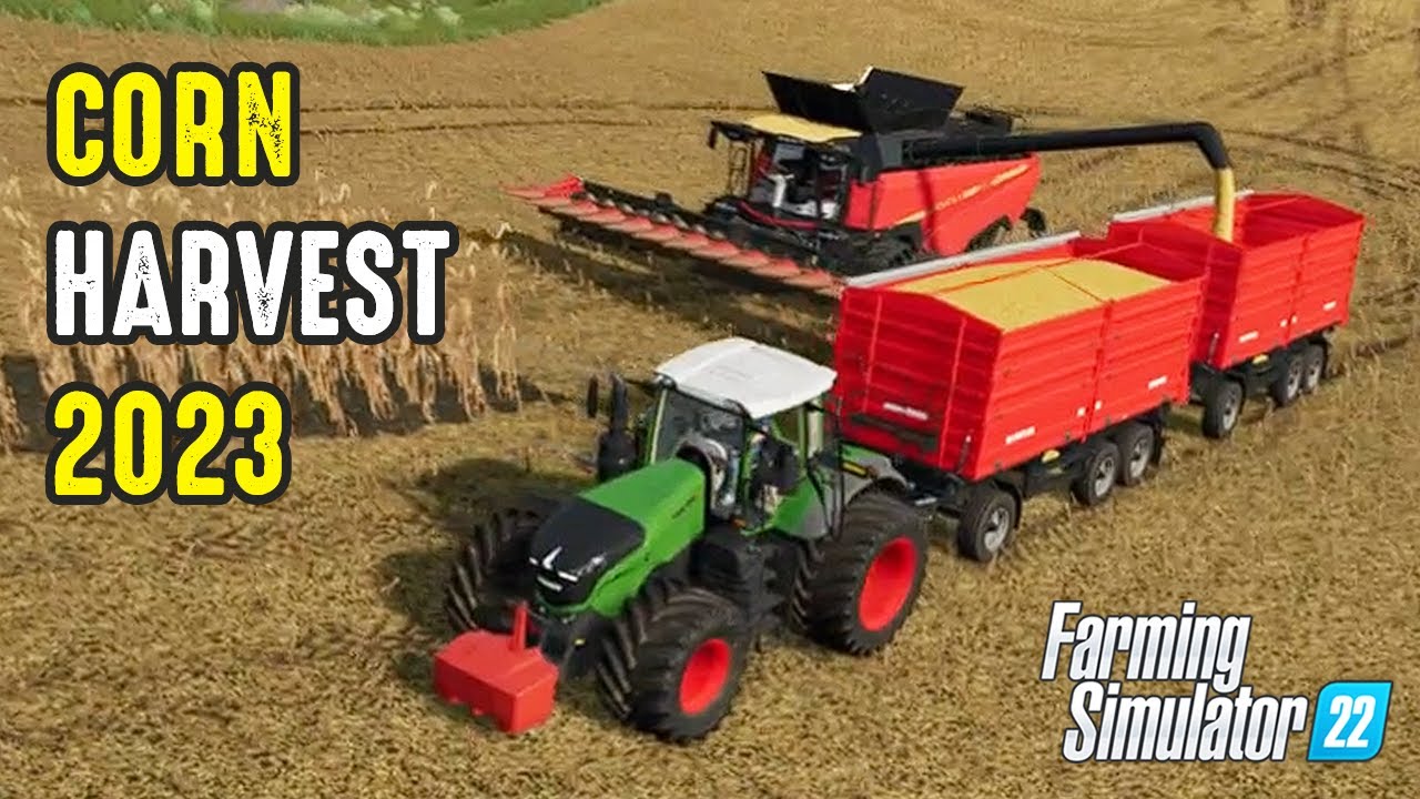 Corn Harvest 2023 - Versatile RT520 & Case IH Magnum 400 - Farming Simulator 22